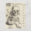 Search for happy skulls postcards Illustration
