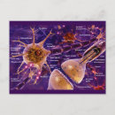 Search for synapse postcards Biology
