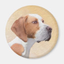 Search for pointer magnets Puppy