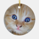 Search for orange tabby cat christmas tree decorations Sweet