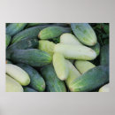 Search for cucumber posters Food
