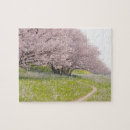 Search for cherry tree puzzles Photography