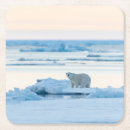 Search for january coasters Winter