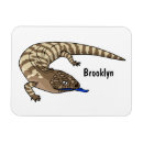 Search for australian rectangular magnets Illustration