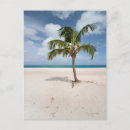 Search for antilles postcards Beach