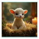 Search for lambs posters Cute