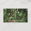Search for grapevine business cards Vineyard