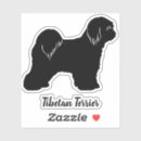Search for tibetan terrier Dog