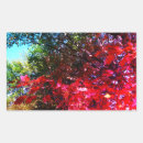 Search for big leaf maple stickers Elegant