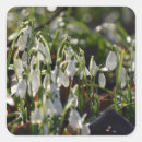 Search for springtime stickers Nature