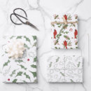 Search for cardinal gift wrap Nature