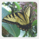 Search for national flower stickers Floral