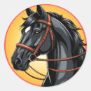 Search for black beauty horse stickers Equine