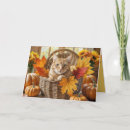 Search for cat basket cards Feline