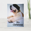 Search for huge christmas cards Veterinarian