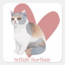 Search for cat breed stickers Kitty
