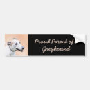 Search for greyhound bumper stickers Dog