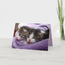 Search for twins cards Animal
