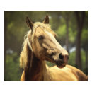 Search for palomino posters Animals