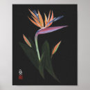 Search for bird of paradise art posters Botanical