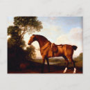 Search for hunters postcards Beautiful