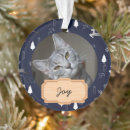 Search for elegant pet memorial ornaments Modern
