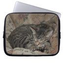 Search for sleeping cat electronics Sweet