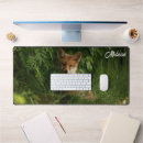 Search for the red fox electronics Woodland