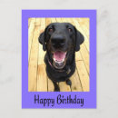Search for black labrador retriever birthday cards Puppy