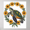 Search for terrapin posters Reptile