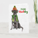 Search for labrador christmas cards Funny