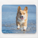 Search for corgi mousepads Beach