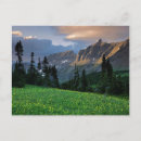 Search for glacier national park postcards Logan pass