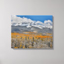 Search for aspen tree canvas prints Woods