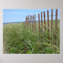 Search for sand dune fencing art Sea