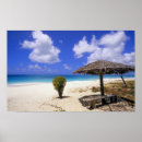 Search for antigua posters Tropical
