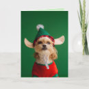 Search for funny elf christmas cards Dog