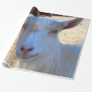 Search for goat wrapping paper Ranch