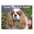 Search for spaniel calendars Pet
