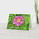 Search for wild one cards Pink
