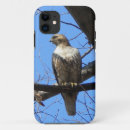 Search for bird of prey iphone cases Hawk