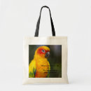 Search for sun conures accessories Tropical