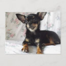 Search for sweet heart postcards Dog