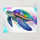 Search for turtle beach postcards Summer