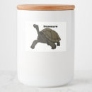 Search for tortoise labels Reptile