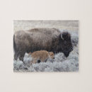 Search for yellowstone puzzles Buffalo