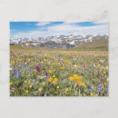 Search for pass postcards Mountain