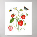 Search for strawberry kitchen decor Botanical