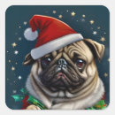 Search for high quality stickers Laptop