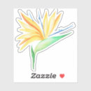 Search for birds of paradise stickers Beach